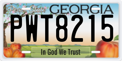 GA license plate PWT8215