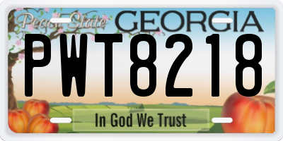 GA license plate PWT8218