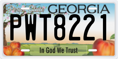 GA license plate PWT8221