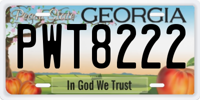 GA license plate PWT8222
