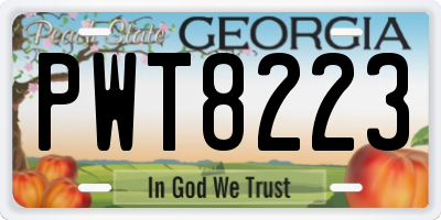 GA license plate PWT8223