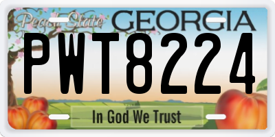 GA license plate PWT8224