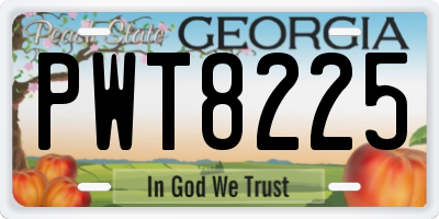 GA license plate PWT8225