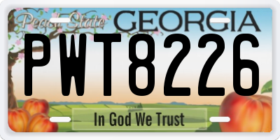 GA license plate PWT8226