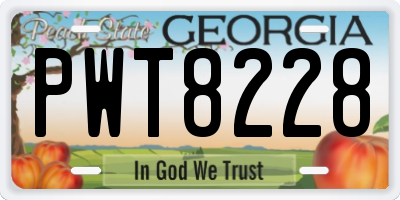 GA license plate PWT8228