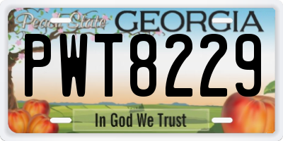 GA license plate PWT8229