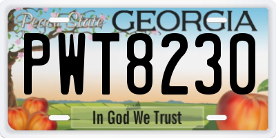 GA license plate PWT8230