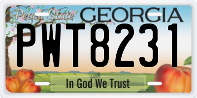GA license plate PWT8231