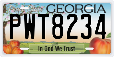 GA license plate PWT8234
