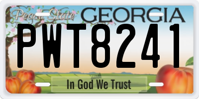 GA license plate PWT8241