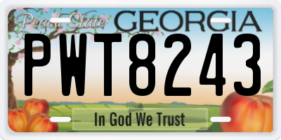 GA license plate PWT8243