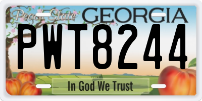 GA license plate PWT8244