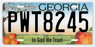 GA license plate PWT8245