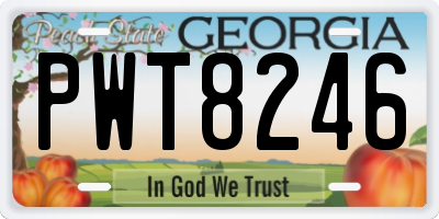 GA license plate PWT8246