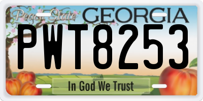 GA license plate PWT8253