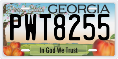 GA license plate PWT8255