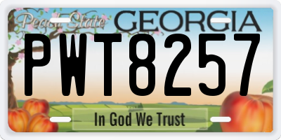 GA license plate PWT8257