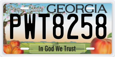 GA license plate PWT8258