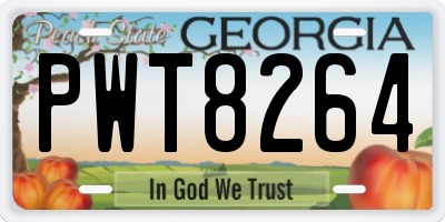 GA license plate PWT8264
