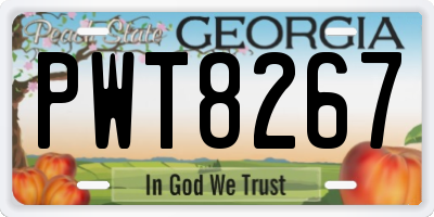 GA license plate PWT8267