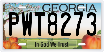 GA license plate PWT8273