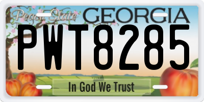 GA license plate PWT8285