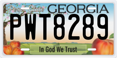 GA license plate PWT8289