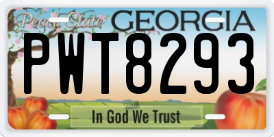GA license plate PWT8293