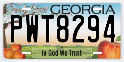 GA license plate PWT8294