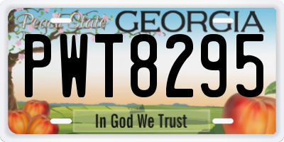 GA license plate PWT8295