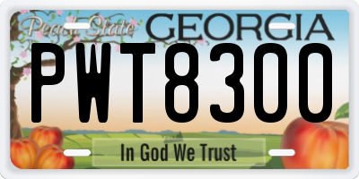 GA license plate PWT8300