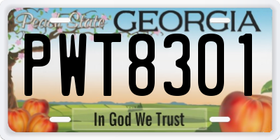 GA license plate PWT8301