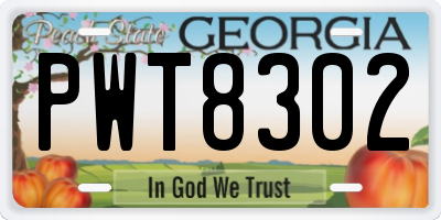 GA license plate PWT8302