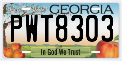 GA license plate PWT8303