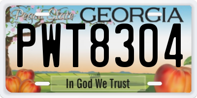 GA license plate PWT8304