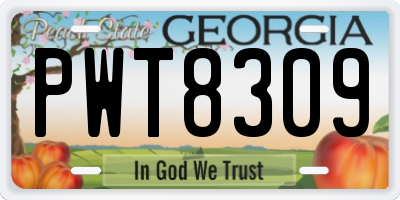 GA license plate PWT8309