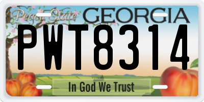 GA license plate PWT8314