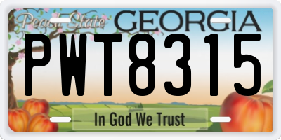 GA license plate PWT8315