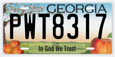 GA license plate PWT8317
