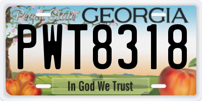 GA license plate PWT8318