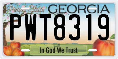 GA license plate PWT8319