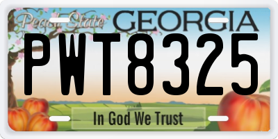 GA license plate PWT8325