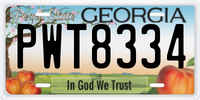 GA license plate PWT8334