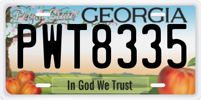 GA license plate PWT8335