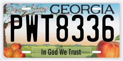 GA license plate PWT8336