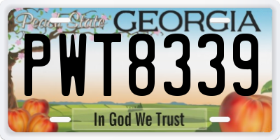 GA license plate PWT8339