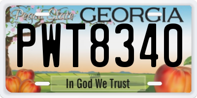 GA license plate PWT8340