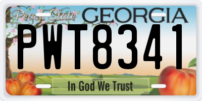 GA license plate PWT8341