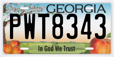 GA license plate PWT8343