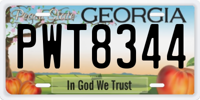 GA license plate PWT8344